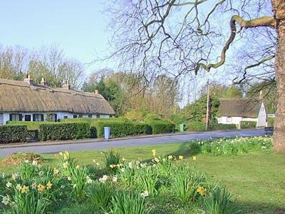 Childe Of Hale Cottage Esterno foto